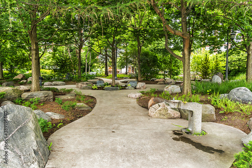 Photography Beautiful Garden near the Toronto harbor