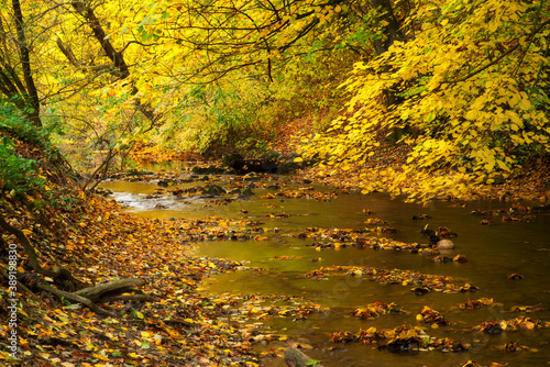 Autumn mountain creek
