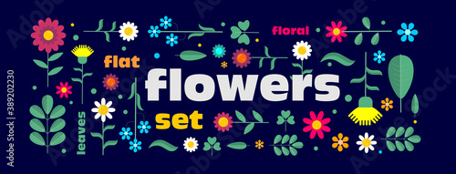 Flat vector set of flowers, leaves and meadow plants.