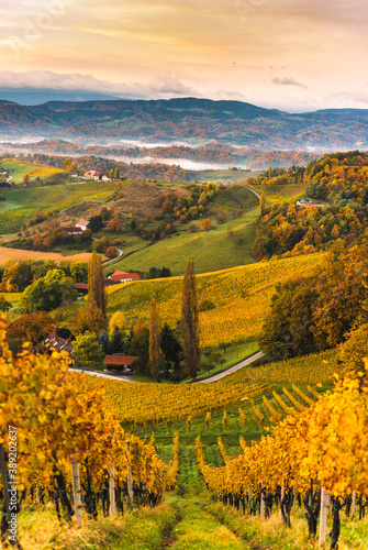 South styria vineyards landscape  Tuscany of Austria. Sunrise in autumn.