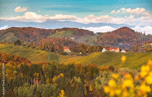 South styria vineyards landscape, Tuscany of Austria. Sunrise in autumn.