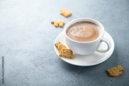 Traditional homemade hot chocolate with cookies