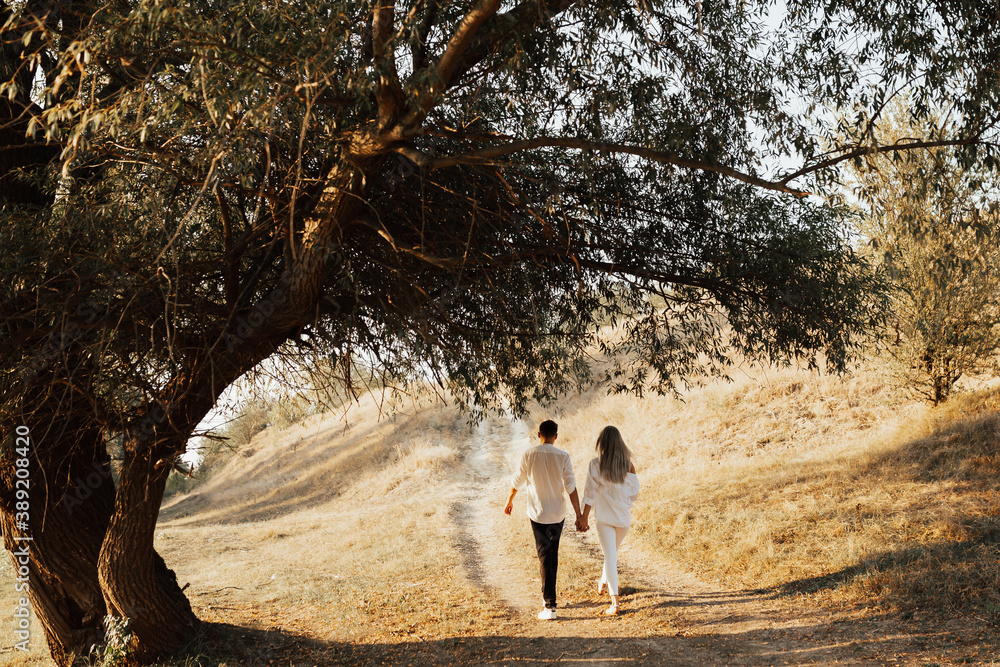 Back view of man and woman are walking in park near big tree. Happy couple holding hands and walking along road.