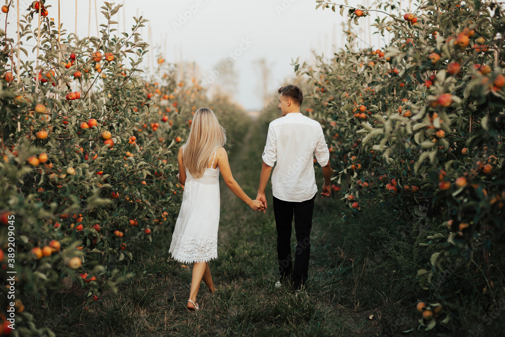 Back view of couple is walking in the summer garden, holding their hands.