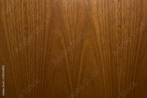 textura de madera arbol