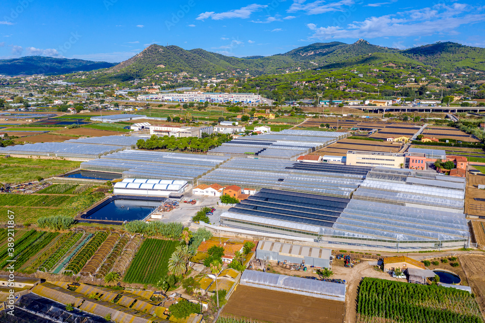 view of the large glass greenhouse for the cultivation of vegetable crops and flowers