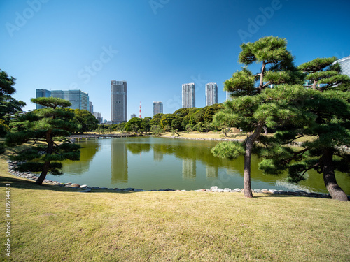 秋晴れの青空広がる東京の浜離宮庭園の風景　10月