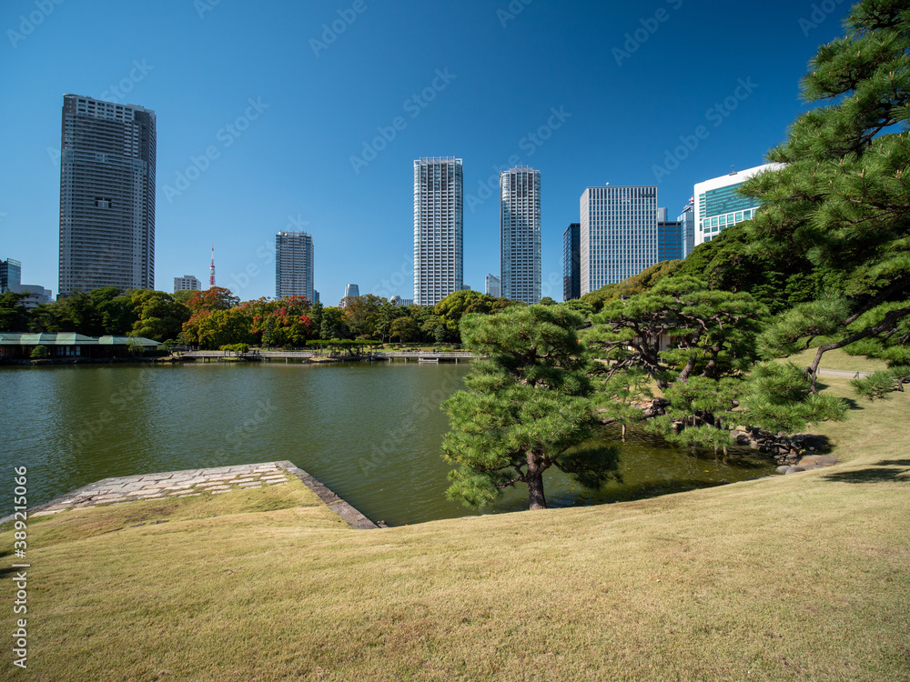 Obraz premium 秋晴れの青空広がる東京の浜離宮庭園の風景 10月