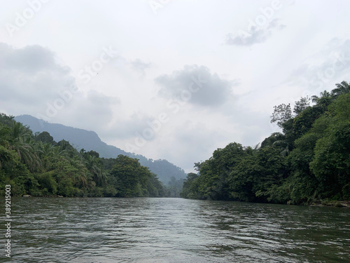 River in Tangkahan