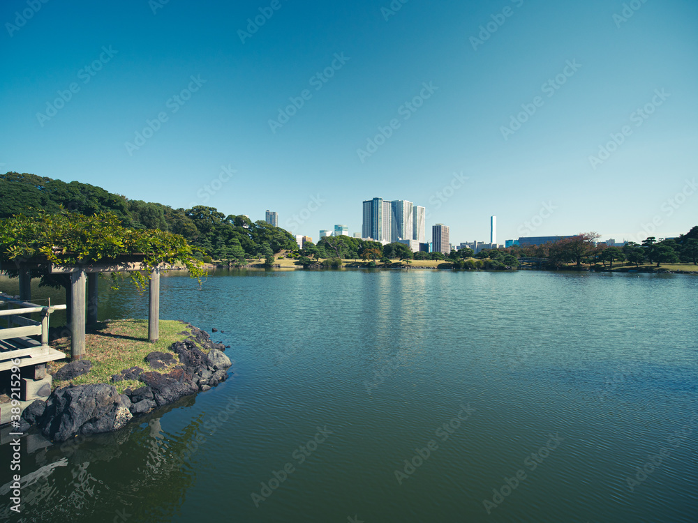 Obraz premium 秋晴れの青空広がる東京の浜離宮庭園の風景 10月