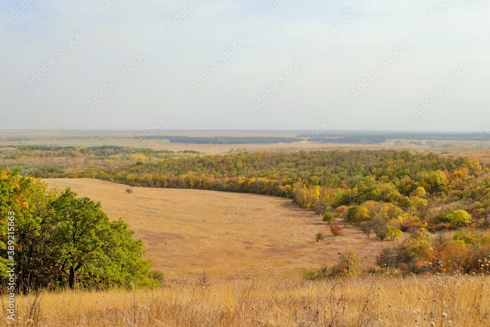 
View from the hill to the autumn forest and field.