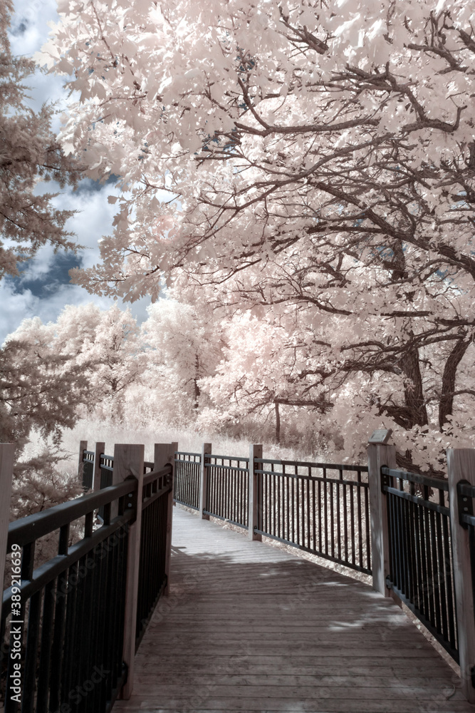 Walking Bridge Walking Bridge