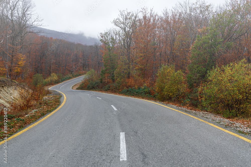 Winding road in the autumn mountain forest