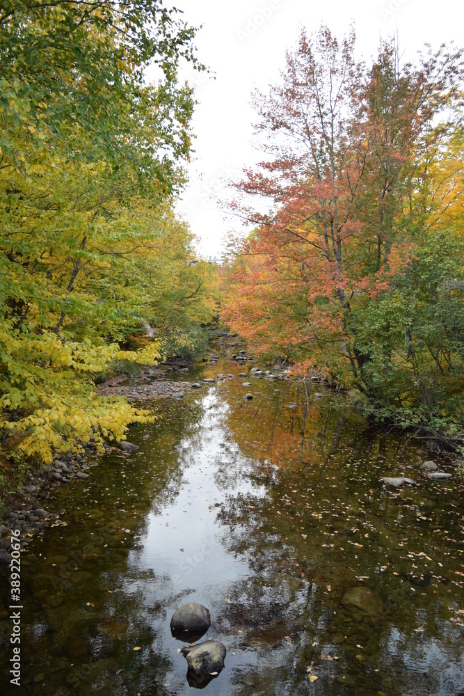 River In Autumn