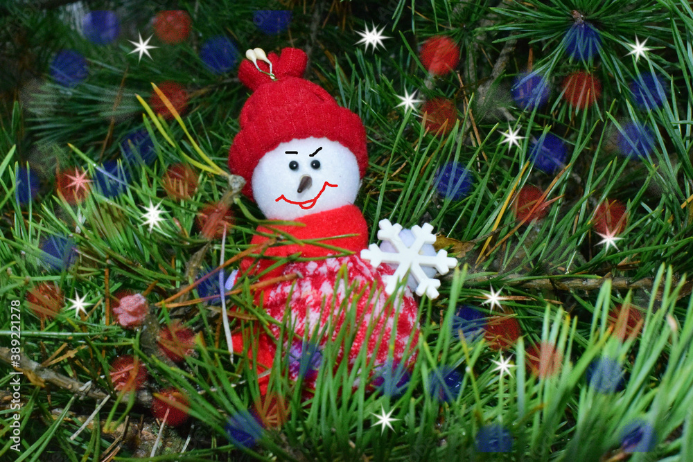 Obraz premium snowman