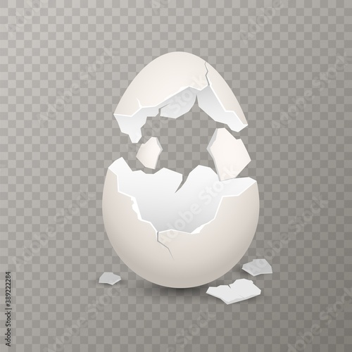 Broken egg. Chicken cracked eggshell. Opened white egg with broken shell, farm bird incubator, culinary cooking nutrition ingredient, vector realistic isolated illustration on transparent background