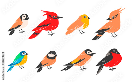 Winter birds. Cartoon wild flying animals isolated on white background, collection of sparrow, bullfinch and tit, cardinal. Cute forest creature, bright feather and plumage. Vector wildlife flat set