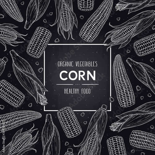 Vector hand drawn doodle frame with organic corn cobs