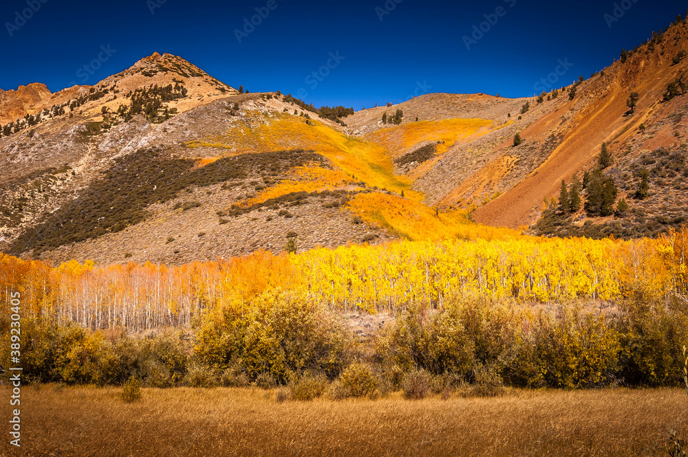 Fototapeta premium Autum in the Mountains