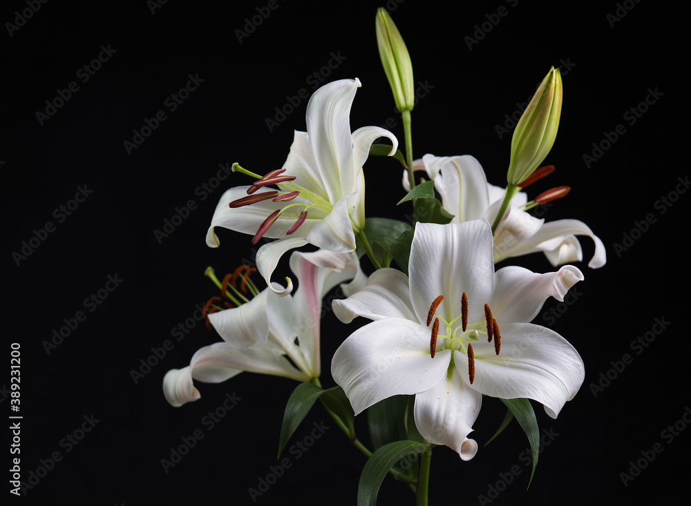 Naklejka premium bouquet of white lilies