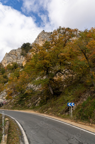 fall color forest and rocky cliffs with a winding mountain road