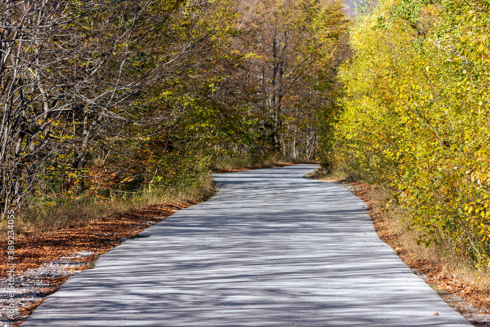 Obraz premium Autumn in Rodopi Mountain