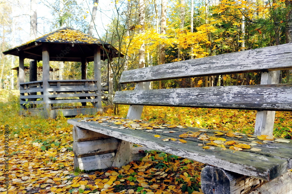 wooden bench in park