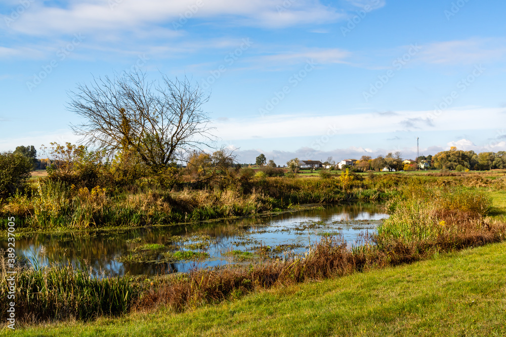 Jesienny krajobraz doliny rzeki Narew, Podlasie, Polska Jesienny krajobraz doliny rzeki Narew, Podlasie, Polska