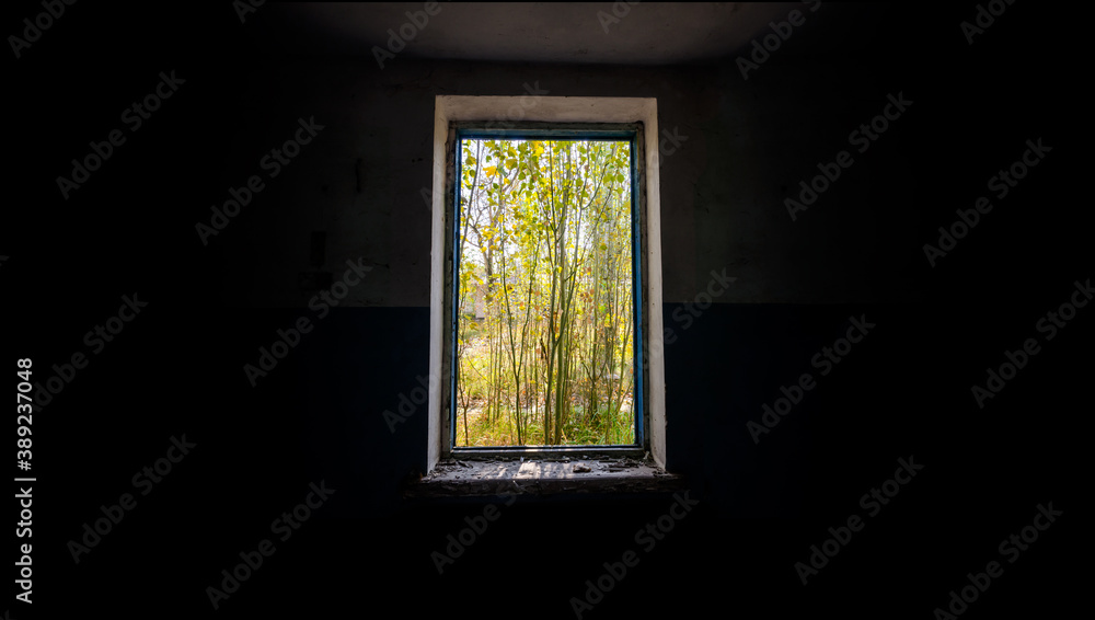 view from the window of an abandoned abandoned house in the village of Ukraine