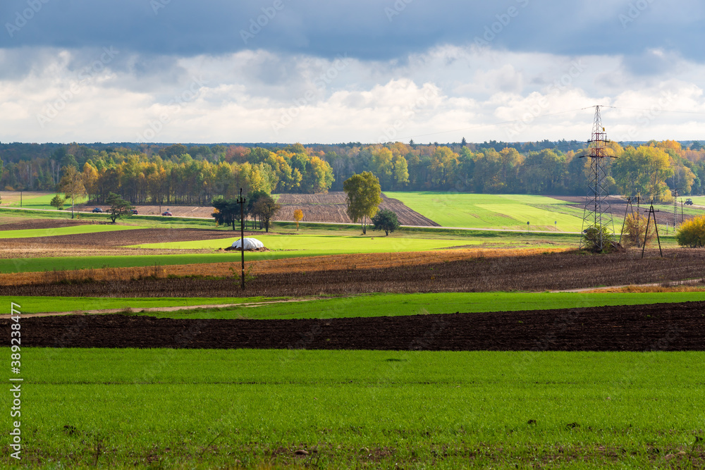 Jesienny krajobraz doliny rzeki Narew, Podlasie, Polska 