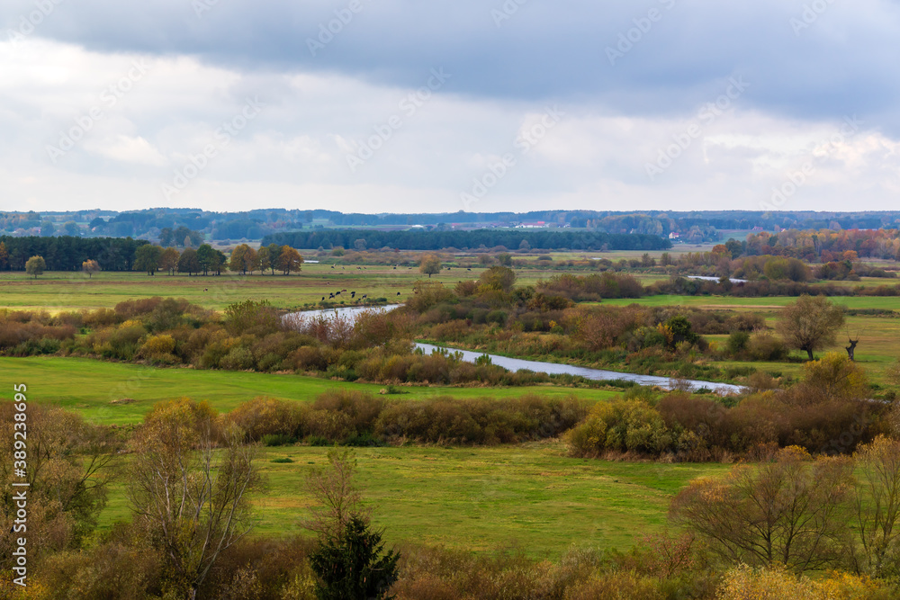 Jesienny krajobraz doliny rzeki Narew, Podlasie, Polska  - obrazy, fototapety, plakaty 
