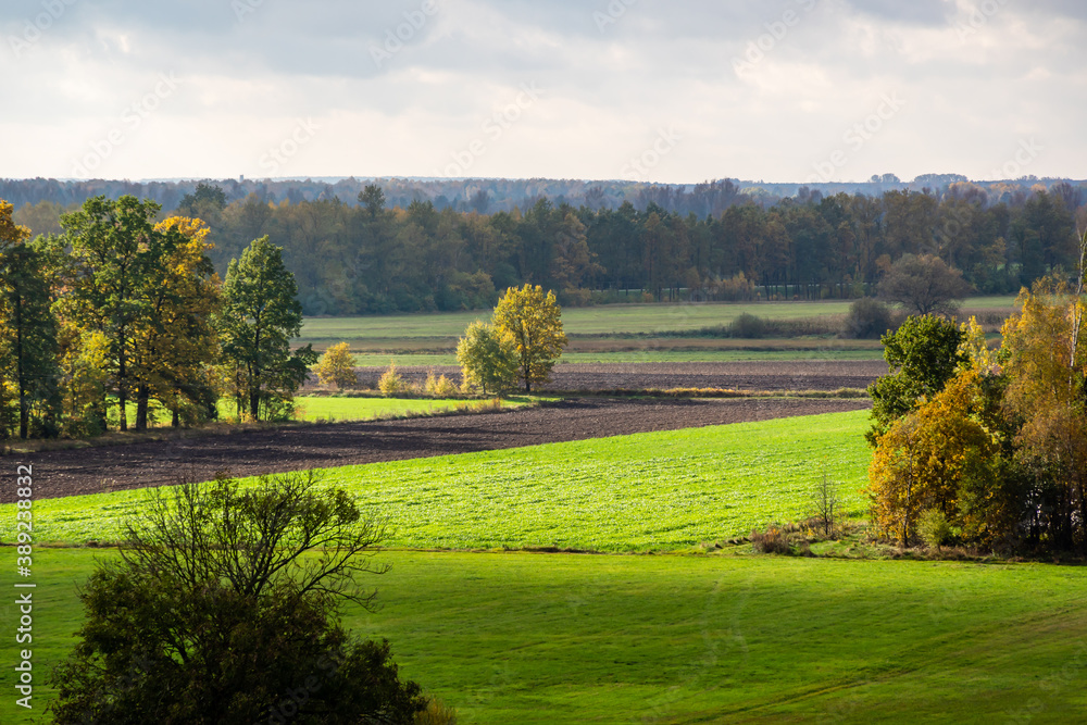Obraz premium Jesienny krajobraz doliny rzeki Narew, Podlasie, Polska 