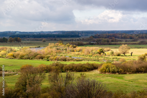 Jesienny krajobraz doliny rzeki Narew  Podlasie  Polska 