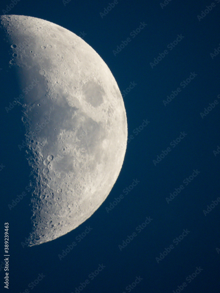 Obraz premium BLUE MOON