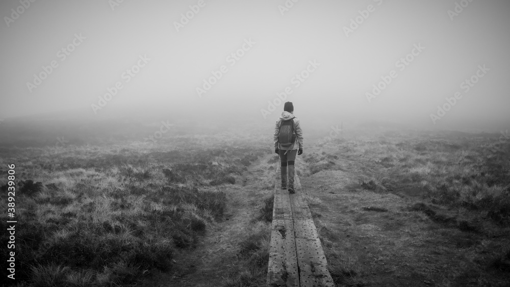 Obraz premium Wicklow way during bad weather, mist and cold. Hiker on wooden path. Mystic atmosphere