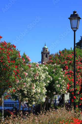 ROSE E CAMPANILE A BELLAIO ITALIA, ROSES AND BELL TOWER IN BELLAGIO ITALY photo