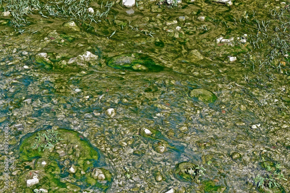 background of a rocky bottom with silt and algae of a transparent shallow river close up background of a rocky bottom with silt and algae of a transparent shallow river close up
