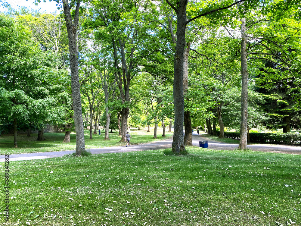 Woodland scene, with old trees, and footpaths in, Lister Park, Bradford, UK Woodland scene, with old trees, and footpaths in, Lister Park, Bradford, UK