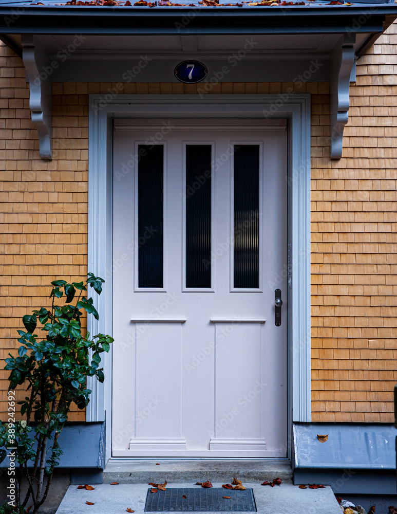 Fototapeta premium Türe