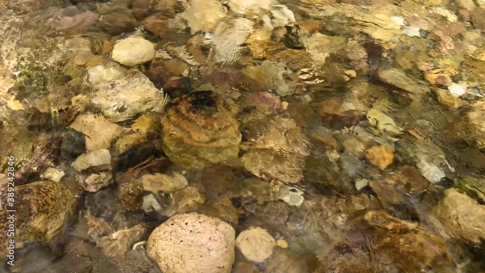 Looking down on a clear fast-moving river with multicolored rocks. The wavy water surface creates patterns on the rocks.
Looking down on a clear fast-moving river with multicolored rocks. The wavy water surface creates patterns on the rocks.