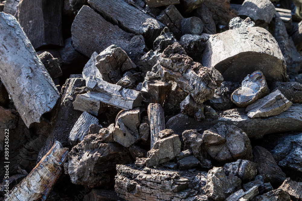 Verkohlte Holzsegmente - Holzkohle Verkohlte Holzsegmente - Holzkohle