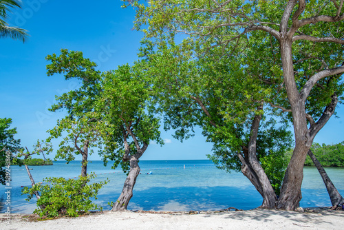 Fototapeta Naklejka Na Ścianę i Meble -  Tropical Florida Keys Ocean Paradise Islamorada