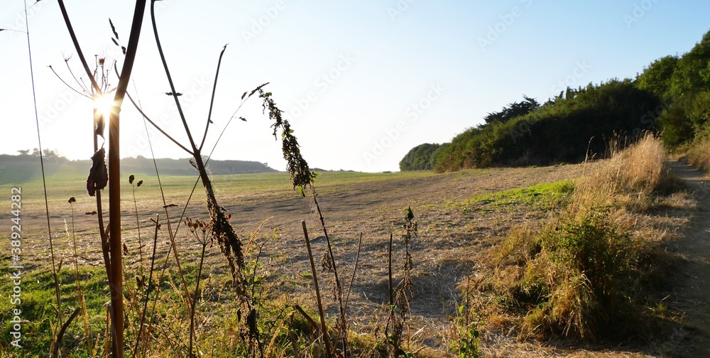 Ruhige Landschaft mit Acker und Wald Ruhige Landschaft mit Acker und Wald