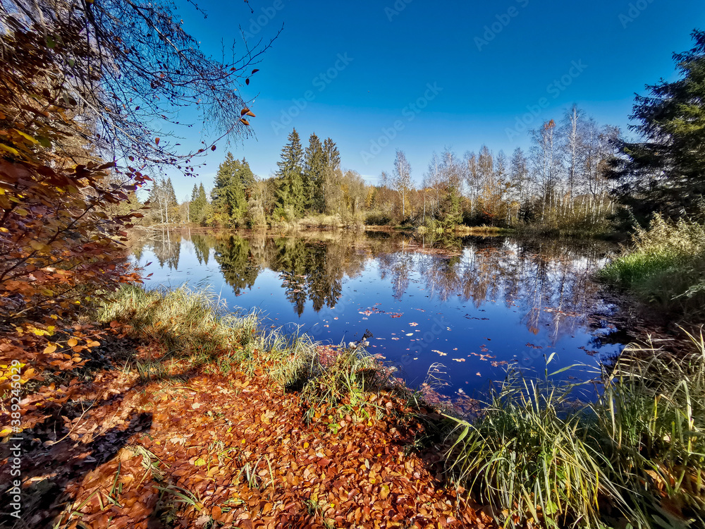 Lake with trees in the background against a blue sky