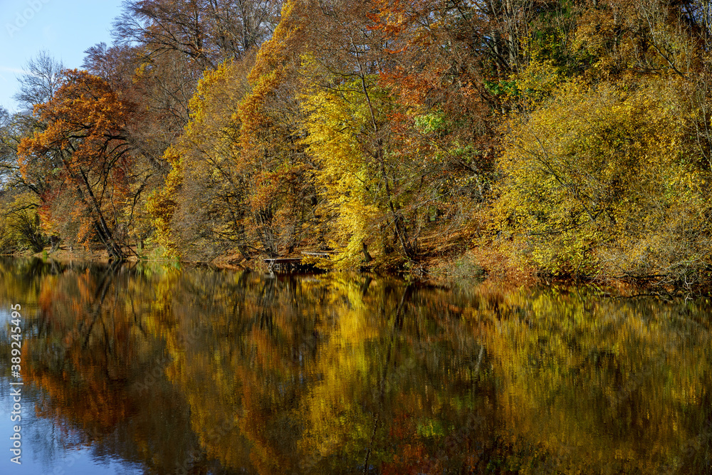 Colorful autumn in the forest with reflections on a lake