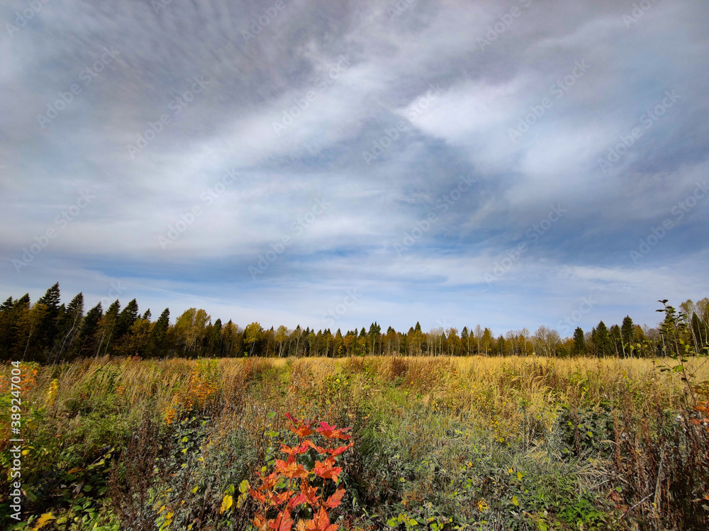 Fototapeta premium Landscape of fields and forests in the distance during the autumn period.