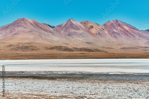 Laguna colorada in Bolivia, Amazing landscape