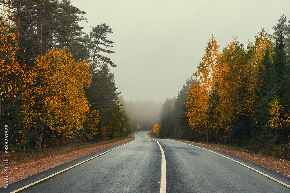 Autumn and foggy road in Pskov region, Russia Autumn and foggy road in Pskov region, Russia
