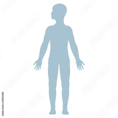The human body. Healthcare infographic elements. Vector illustration isolated on white background.