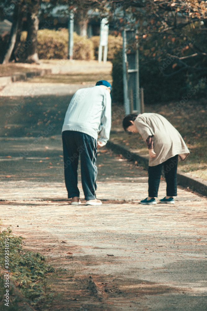 walk in the Park